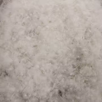 Usine en gros 90% duvet d'oie blanche/10% plume d'oie matériau de remplissage pour oreiller de couette