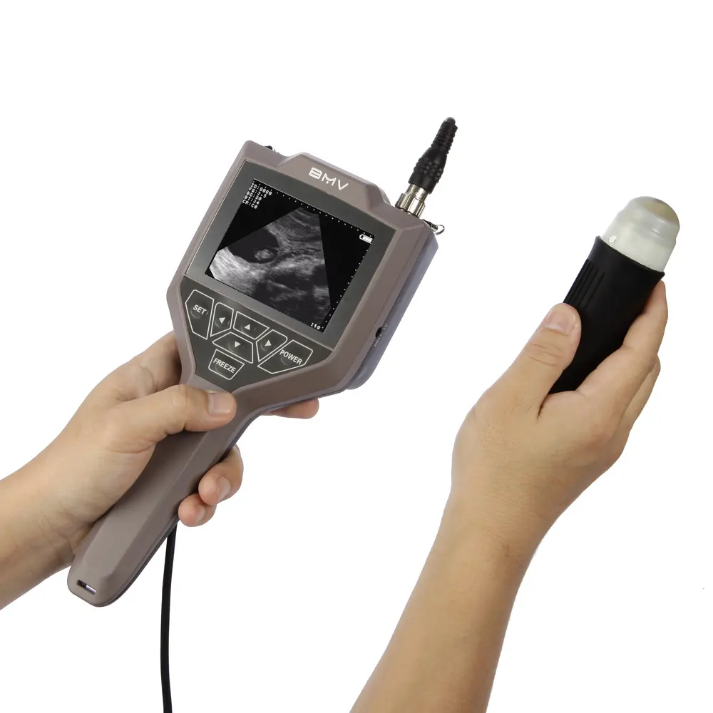 휴대용 수의학 초음파 파종 양 임신 검사 장비 휴대용 수의학 초음파 스캐너