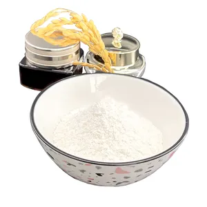 RICI植物米糠提取物最佳价格 γ 谷维素98% γ 谷维素粉