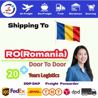 Services de logistique ferroviaire FCL/LCL+Express/Camionnage porte-à-porte DDP DAP les plus rapides/les moins chers pour la Roumanie