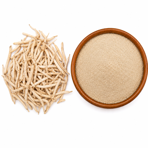 Polvo de Raíz Blanca de Asparagus Adscendens Safed Musli de Alta Pureza, Ingrediente Botánico Natural para la Industria Alimentaria, Materia Prima - Product Image 1