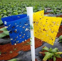 Piège à insectes double face en plastique jaune personnalisé, forte adhérence, écologique, portable, pour la capture des ravageurs en extérieur
