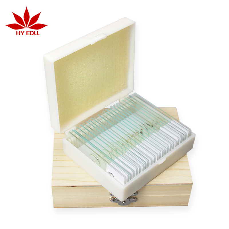 Прямая поставка с завода, скользящая скользка для студентов Университета