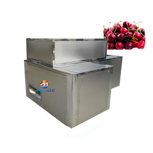 Machine automatique de séparateur de graines de fruits à taux de piqûres élevé - Product Image 1