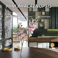 Mini Fleurs Artificielles Phalaenopsis en Plastique Souple Faites à la Main Durables et Réalistes, 2 Fourches, 12 Fleurs, Style Bohème, Marque LIAI