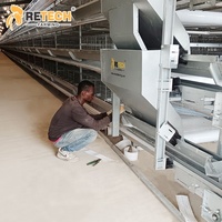 Cage à poules pondeuses avec ligne d'abreuvement automatique et mangeoire pour élevage de poules
