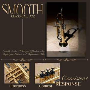 Trompeta AKLOT BB para Principiantes, Campana Forjada a Mano, Acción <span class=keywords><strong>de</strong></span> Válvula Suave, Cuerpo <span class=keywords><strong>de</strong></span> Latón Lacado en Oro, Estuche <span class=keywords><strong>de</strong></span> Cuero, Silenciador y Kit <span class=keywords><strong>de</strong></span> Limpieza - Product Image 4