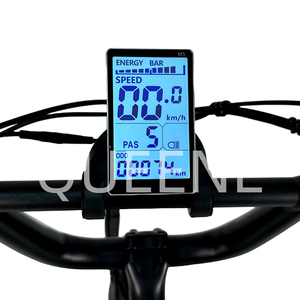 Offre Spéciale longue portée 20 "1000 watts moteur à grande vitesse montagne E Bike neige vélo électrique avec sièges enfant - Product Image 4