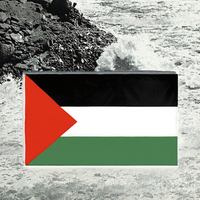 Drapeau numérique imprimé double face 100 % polyester, style défilé, pour l'État de Palestine, disponible en stock pour l'assurance automobile