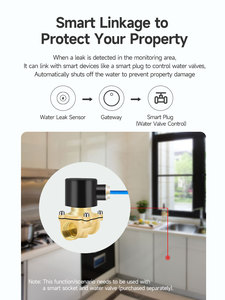 Détecteur de fuite d'eau Zigbee en gros, alarme de débordement intelligente Tuya pour l'automatisation domestique, détecteur de fuite d'eau à distance et prise en charge OEM - Product Image 3