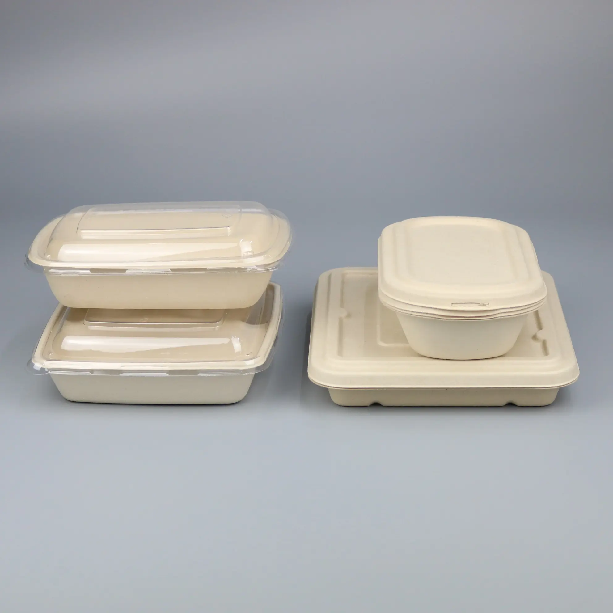 Sugarcane Bagasse Pulp Disposable Lunch Container Tray Box with PLA PET RPET Transparent Clear Plastic Lid