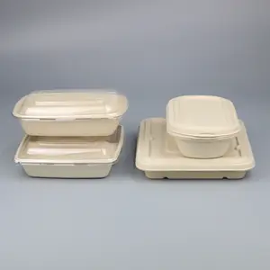 Zuckerrohr Bagasse Pulp Einweg-Lunch behälter Tray Box mit PLA PET RPET Transparent Clear Plastic Deckel