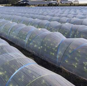 Tiges solides en fibre de verre flexibles - Product Image 2