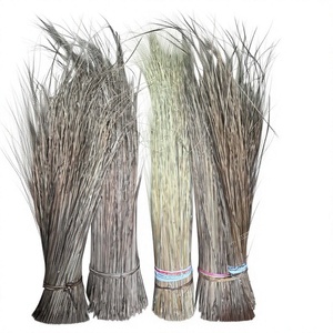 Paquete de Palos de Escoba de Fibra de Coco Natural, Flexibles, Duraderos, Tamaño Personalizable, 24 Meses de Vida Útil, Vigifarm, para Jardín, Exteriores y Hogar - Product Image 1
