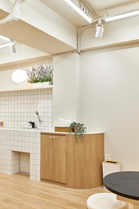 Station de travail professionnelle pour salon de toilettage d'animaux et solution de design d'intérieur de magasin tout-en-un pour l'aménagement de boutiques de toilettage - Product Image 5