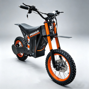 Pegasus Factory Vente en gros de motos électriques tout-terrain, pneus de 14/12 pouces, 2000W 48V 40-60 km/h, pour adultes - Product Image 1