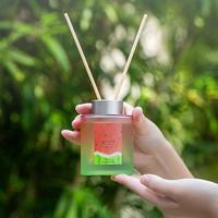 Diffuseur à bâtonnets parfumé à la pastèque, bouteille en verre dégradé avec bâtonnets en rotin naturel pour rafraîchir l'air de la maison et des hôtels