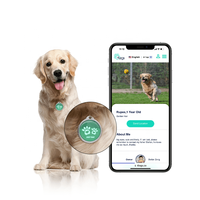 Logotipo personalizado NFC ID Pet Tracking Tag Rfid Llavero Código QR RFID Epoxy Tag