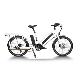 Dual Battery 48v 750w Ebike Alloy Aluminum Electric Cargo Bicycle For Family