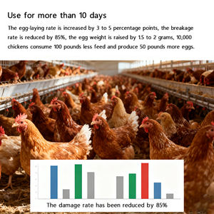 פירותי חלל מעיים לעופות פלוס, חומצות אמינו בדרגת מזון, טיפול בדיארה, משפר את שימוש המזון, חוסך אבקת מזון, תוסף מזון - Product Image 2