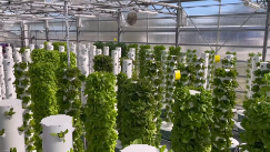 Invernadero Agrícola para Agricultura Vertical, Torre de Cultivo Vertical, Sistema Aeropónico - Product Image 2