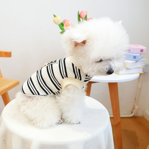 PETCIRCLE Ropa para Mascotas, Trajes para Perros y Gatos, Chaleco con Correa - Rayas Blancas y Negras - Product Image 2