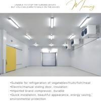 Chambre froide/congélateur modulaire -25°C pour stockage de viande, installation rapide en 48h, réfrigérant R404a, moteur automatique