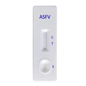 Bandelettes de <span class=keywords><strong>test</strong></span> rapide d'anticorps contre la tuberculose bovine produit vétérinaire pour vache - Product Image 5