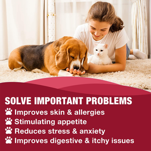 Hemp tetesan minyak untuk anjing, Hemp murni suplemen penyerapan cepat dukungan kekebalan tubuh pereda kecemasan radang sendi kesehatan Omega - Product Image 3