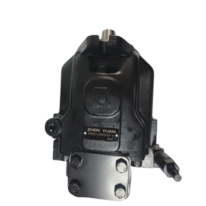 Pompe hydraulique <span class=keywords><strong>PVPC</strong></span> fabriquée en Italie, originale, prête à être expédiée <span class=keywords><strong>PVPC</strong></span>-R-3029/1D <span class=keywords><strong>PVPC</strong></span>-L-5073/1D-11 <span class=keywords><strong>PVPC</strong></span>-LW-5073-1D10 - Product Image 1