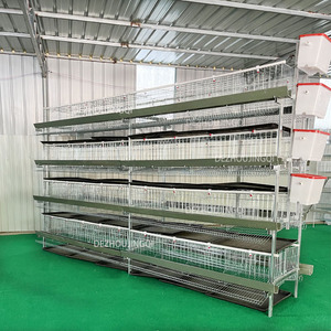 5000 Chim Gà Gia Cầm Trang Trại H Loại Pin Trứng Đẻ Gà Lớp Tự Động Lồng Gà Trong Zimbabwe Cho Bán - Product Image 1