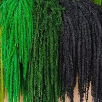 Vente en gros de tiges de riz séchées et préservées, amarantes séchées et préservées pour la décoration murale bohème, la décoration de scène et les créations florales