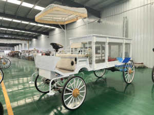 Coche fúnebre americano de lujo de acero blanco y cuero con columna romana eléctrica <span class=keywords><strong>transporte</strong></span> especial - Product Image 3