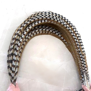 Plumas de Cola de Faisán Reeves Naturales Extra Largas al por Mayor de Fábrica para Disfraces de Carnaval - Product Image 2