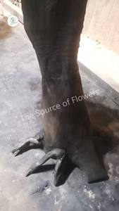 Árbol de <span class=keywords><strong>Cedro</strong></span> Personalizado Directo de Fábrica, Personalización OEM y ODM, Podocarpus, Bonsái Artificial Grande para Interiores y Exteriores - Product Image 3