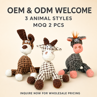 Jouet en peluche personnalisé durable et couineur en coton, motif dessin animé mignon, résistant aux morsures pour chiens agressifs