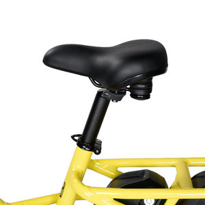 Vélo cargo électrique pour adultes <span class=keywords><strong>Accolmile</strong></span> OEM 250/500W, double batterie au lithium, cadre en alliage d'aluminium, frein à disque, vélo électrique de livraison - Product Image 6