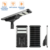 Série de lampadaires solaires à LED intégrés 100W avec panneau photovoltaïque en silicium monocristallin à haute efficacité de conversion