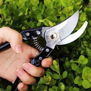 Sécateur à main professionnel à usage intensif pour l'élagage durable et efficace - Product Image 2