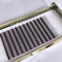 Nouvelles extensions de cils 5D effet éventail naturel, plateaux de cils floraux, fournitures pour extensions de cils, cils individuels effet fée, aspect mouillé