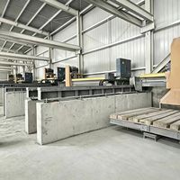 Scie à pont robuste d'occasion de fabrication chinoise pour la découpe de blocs de pierre, équipement pour usine de production de granit et de marbre
