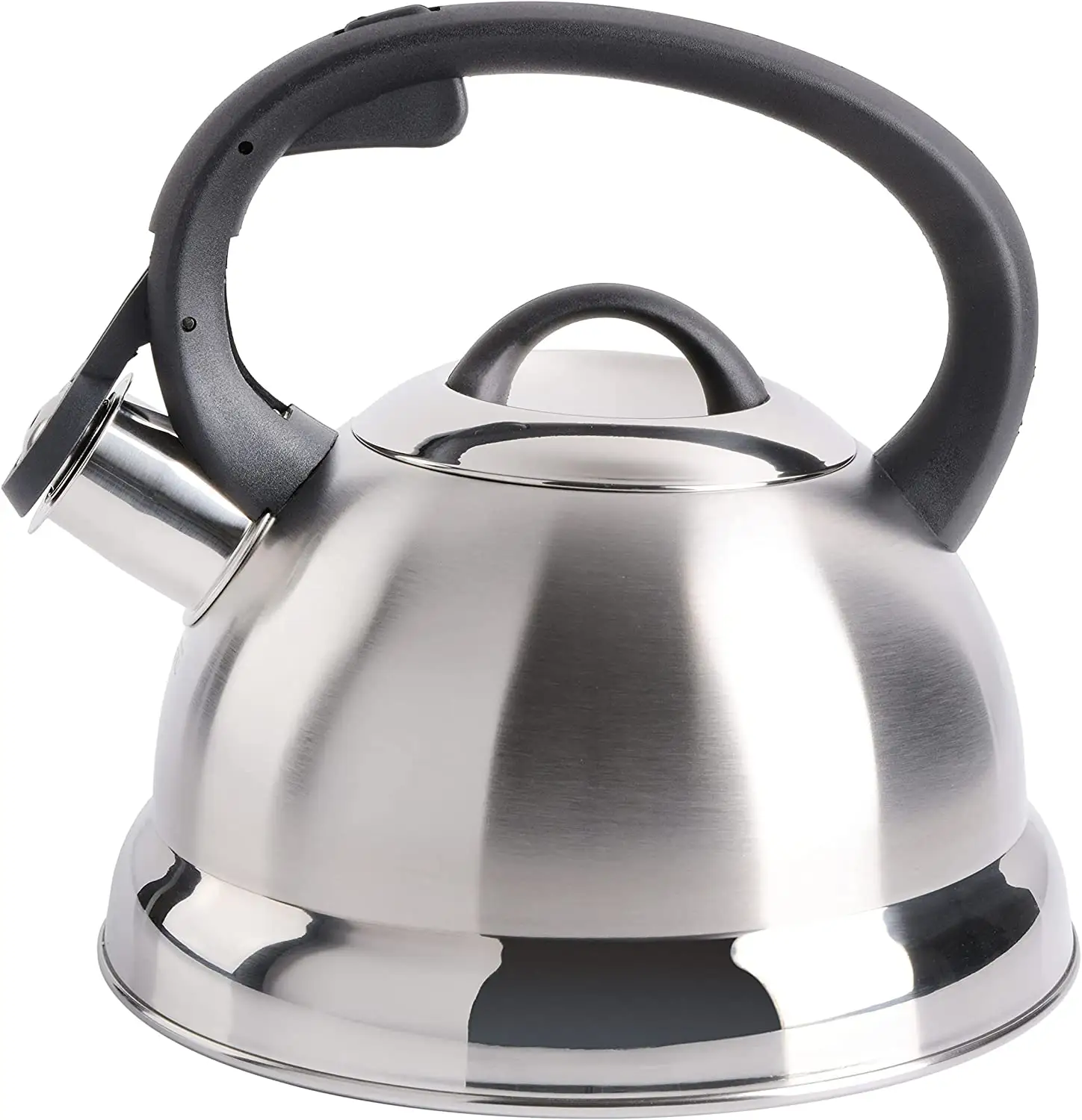 Stainless Steel Whistling Tea Kettle W/ Nylon Handle, 1.75-Quart