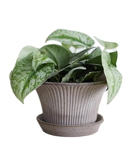 custom cement plant planter pot with saucer modern stripe