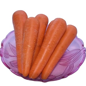 Rau Hữu Cơ Tươi Mới Bán Buôn Carot/Hạt Cà Rốt Giá Cà Rốt - Product Image 3