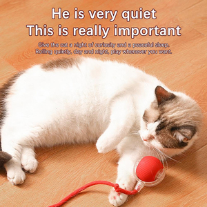 Cute Smart Hot Sale New Design Interactive Eco-Friendly Silicone <b>ABS</b> Customized Color Ball Tail Accessories Rolling Toys for - Product Image 4
