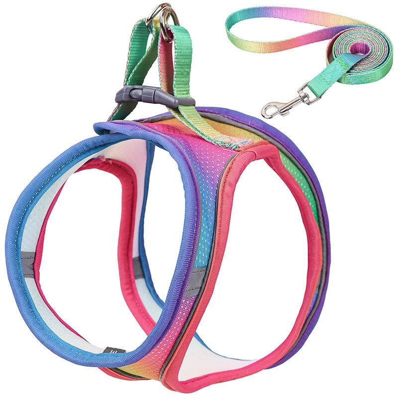 มีสีสัน