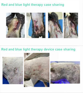 Produk terapi radang sendi anjing, alat terapi cahaya inframerah hewan infeksi telinga anjing obat rumah - Product Image 4