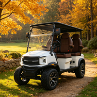 Voiturette de golf électrique 5 kW haute puissance, surélevée, avec couleur de carrosserie personnalisable et rangement supplémentaire multifonctionnel