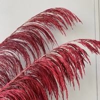 Rumput Pampas Kering Alami 70cm Warna Burgundy Kaya, Buket Ramah Lingkungan, Lembut, Dekorasi Rumah Pernikahan Hari Valentine, Grosir