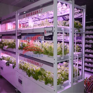Custom Wholesale Cultivation hydroponic culture tray Growing microgreen tray growing system Hydroponic Trays